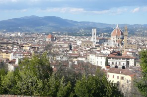 florence 7