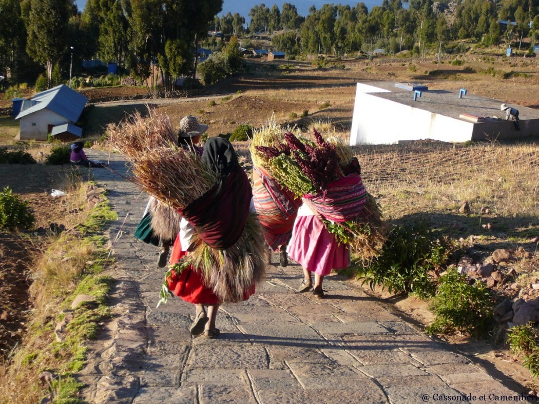 Femmes portant du ble Ile Amantani lac Titicaca