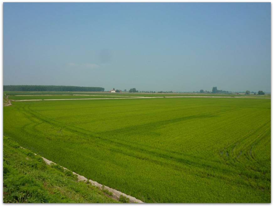 Rizieres Plaine du Po