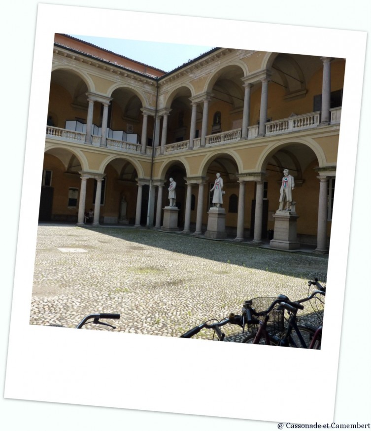 Universite de Pavia