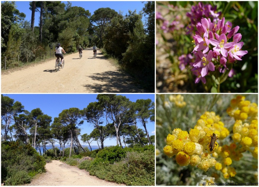 Chemins ile de Porquerolles