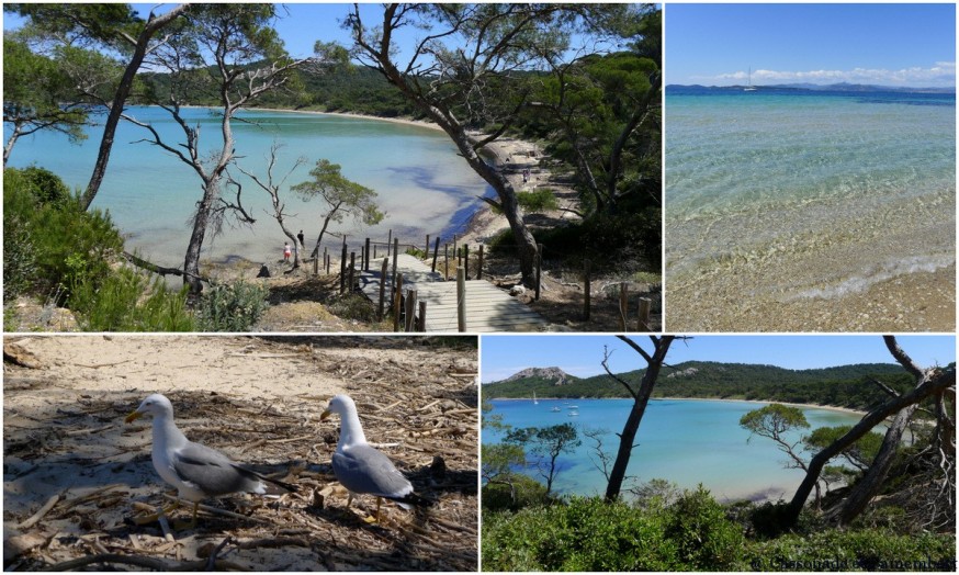 Plage Notre Dame Porquerolles