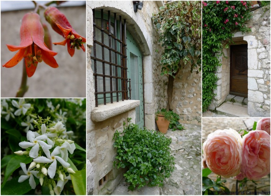 Ruelles fleuries de Saint-Paul-de-Vence