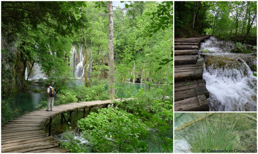 Pontons Parc des lacs de Plitvice