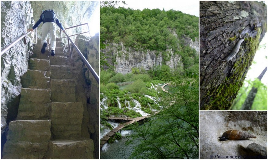 Montée dans grotte Supljara Parc Plitvice