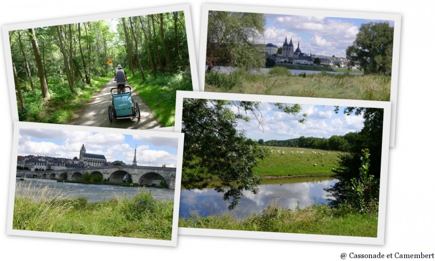 Loire à vélo entre Chaumont-sur-Loire et Blois