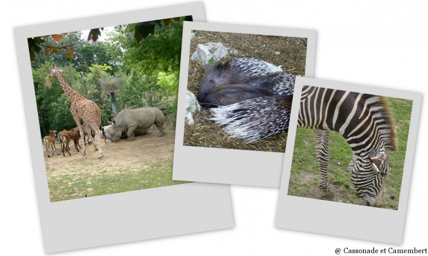 Zone africaine Zoo de Beauval