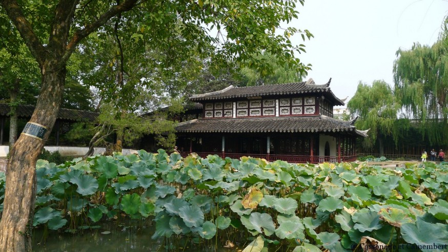Lotus suzhou jardin humble administrateur