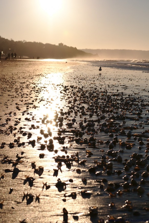 Soleil couchant plage Deauville