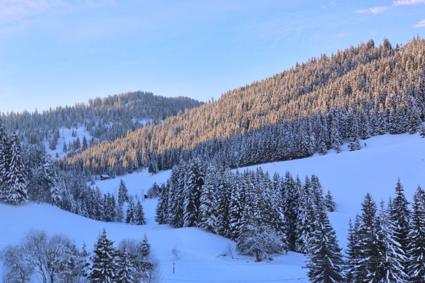 Forêts enneigées Aravis