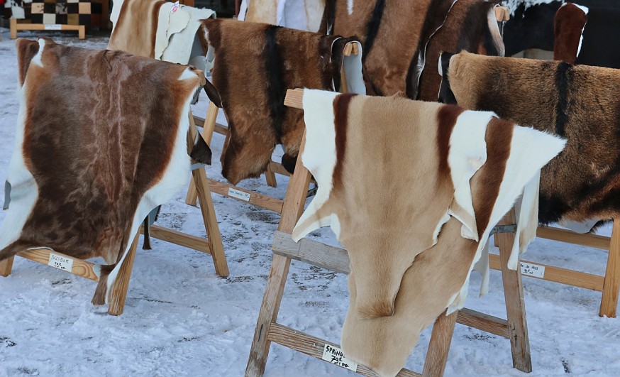 Vente de peaux col des Aravis