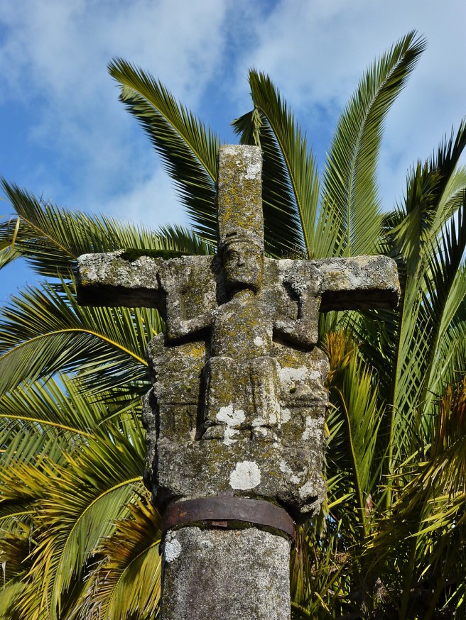 Croix de Galice et palmier - Compostelle