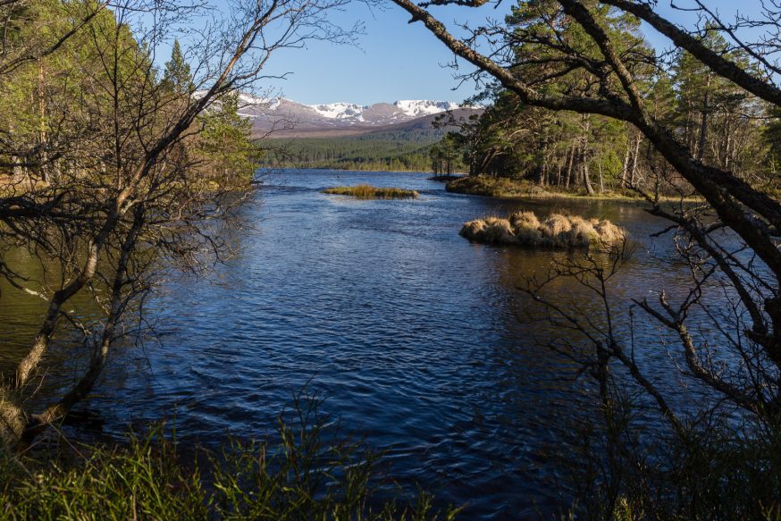 Cairngorms-Loch Morlich-5