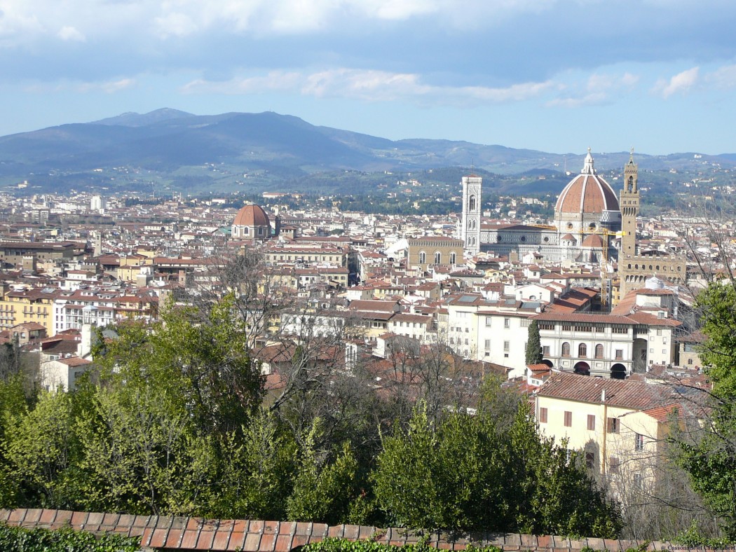 florence 7