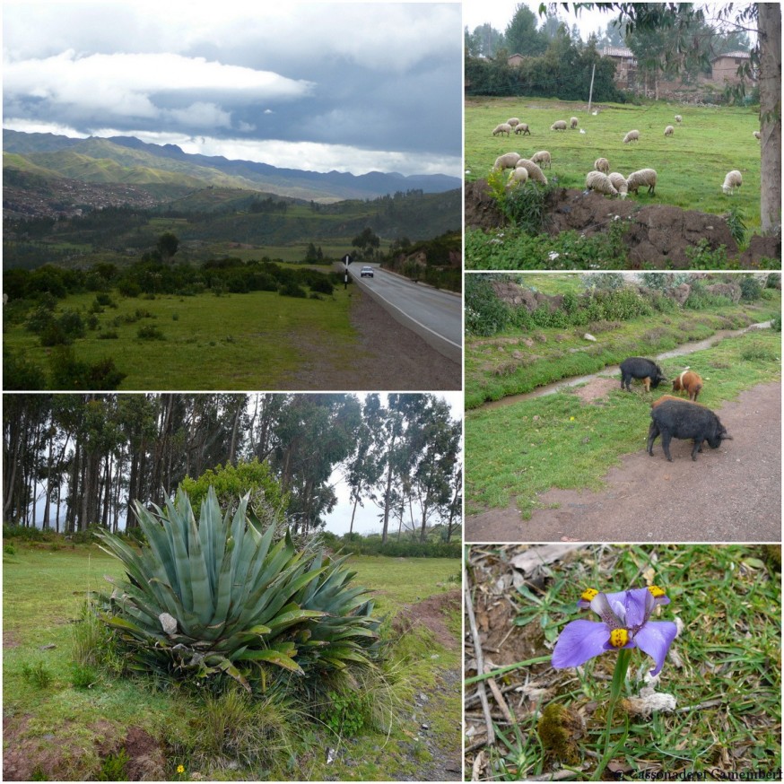 Arrivée sur sacsayhuaman