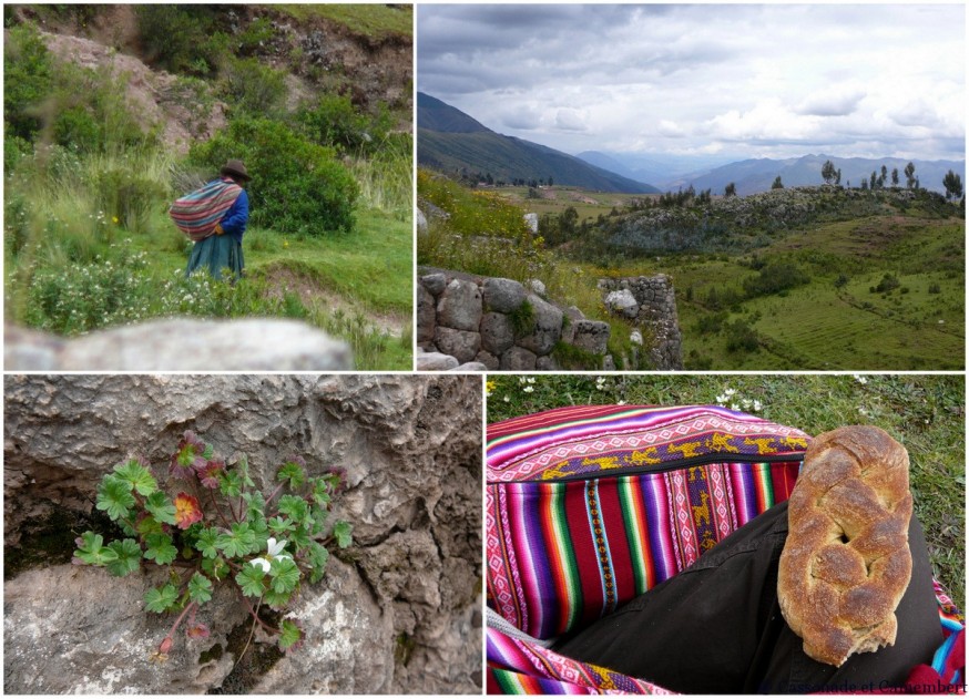 Autour de Puca Pucara
