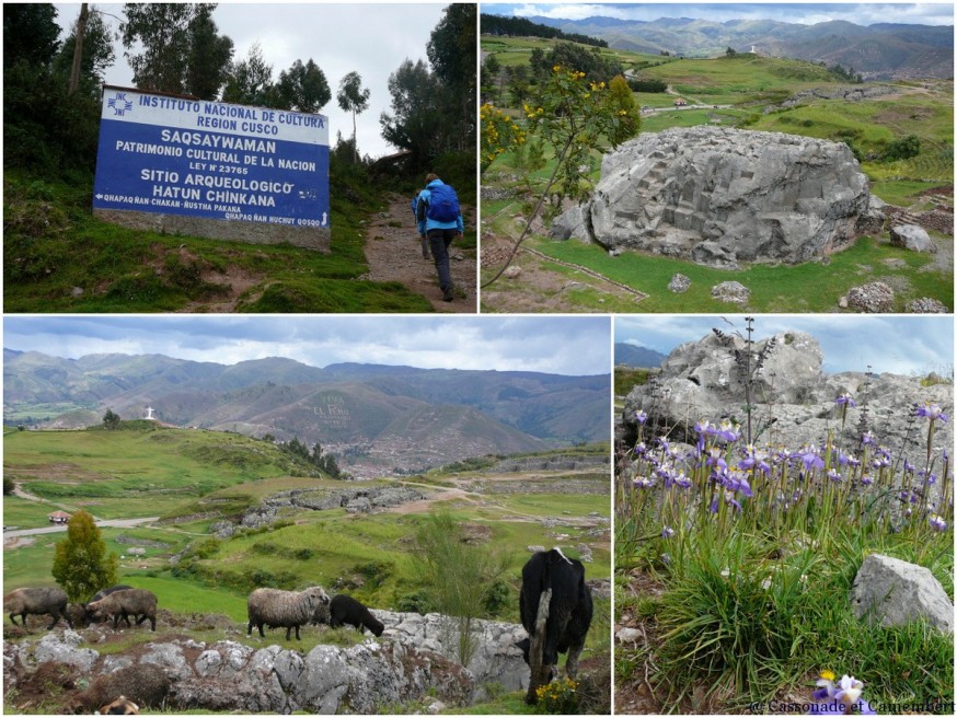 Trône de l'inca sacsayhuaman