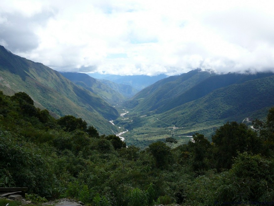 Inca Jungle Trail foret tropicale