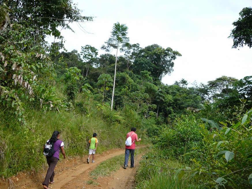 Comunidad nativa de Huacaria - Chemin d acces