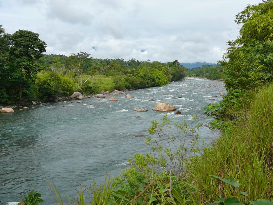 Comunidad nativa de Huacaria - Riviere pres de Pilcopata