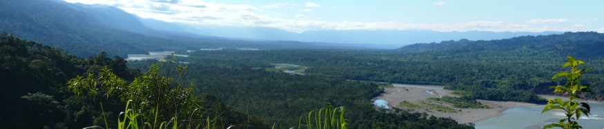Vue sur forêt tropicale depuis Mirador Atalaya