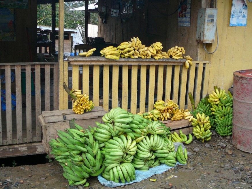 Bananes port Atalaya