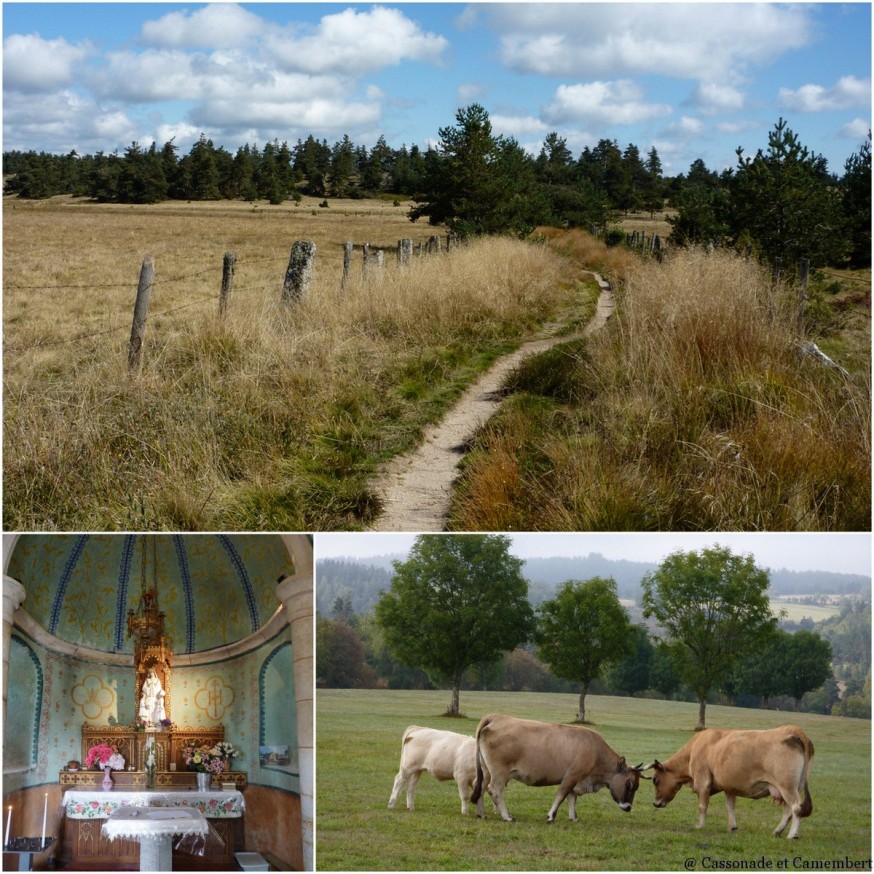 Aubrac - compostelle Aubrac