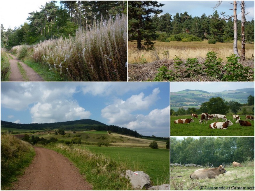 Chemin de pouzzolane - compostelle margeride