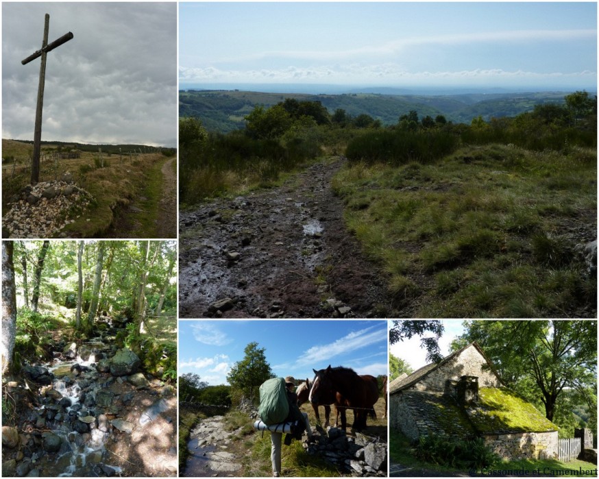 Descente de l'Aubrac - compostelle Aubrac