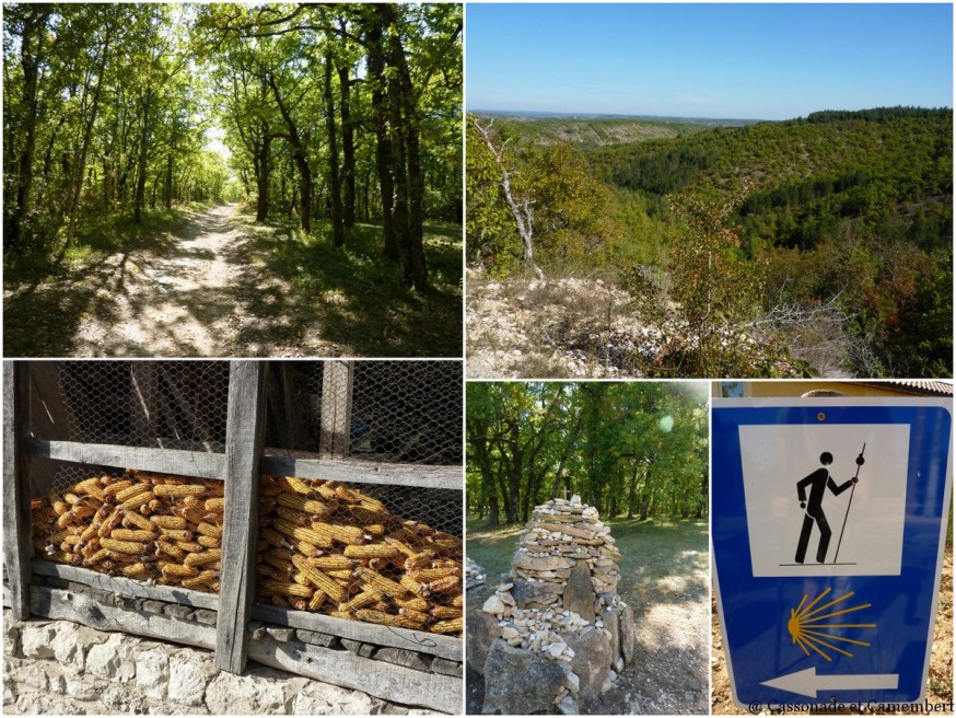 Entre Cahors et Lascabanes - compostelle quercy blanc