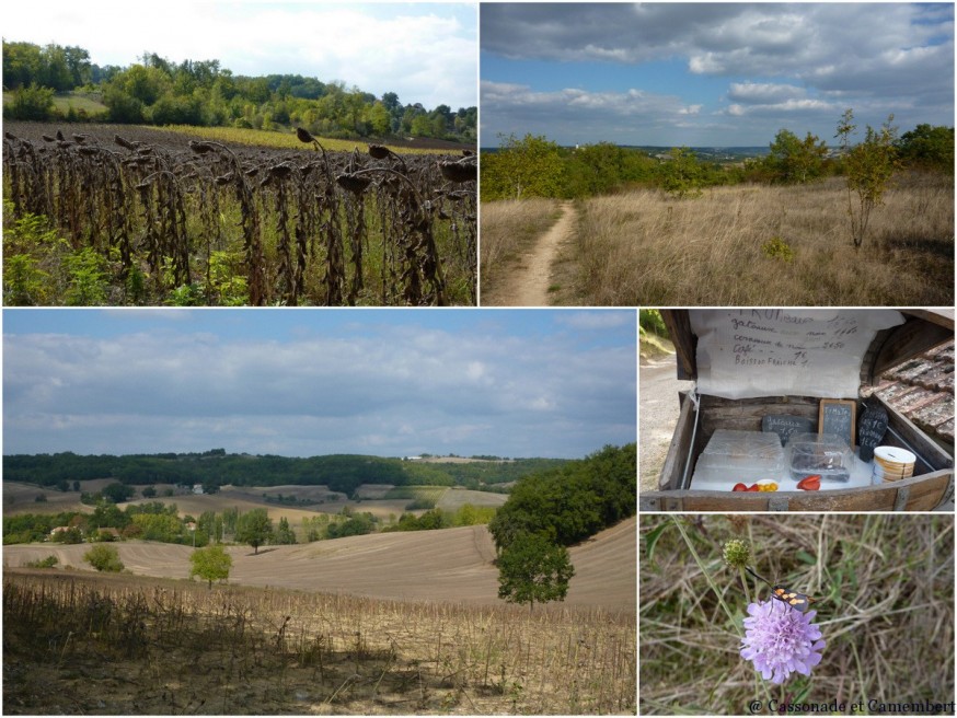 Entre Lascabanes et Lauzerte - compostelle quercy blanc