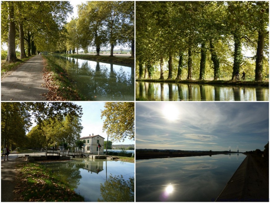 Le long du canal du midi - Compostelle Moissac