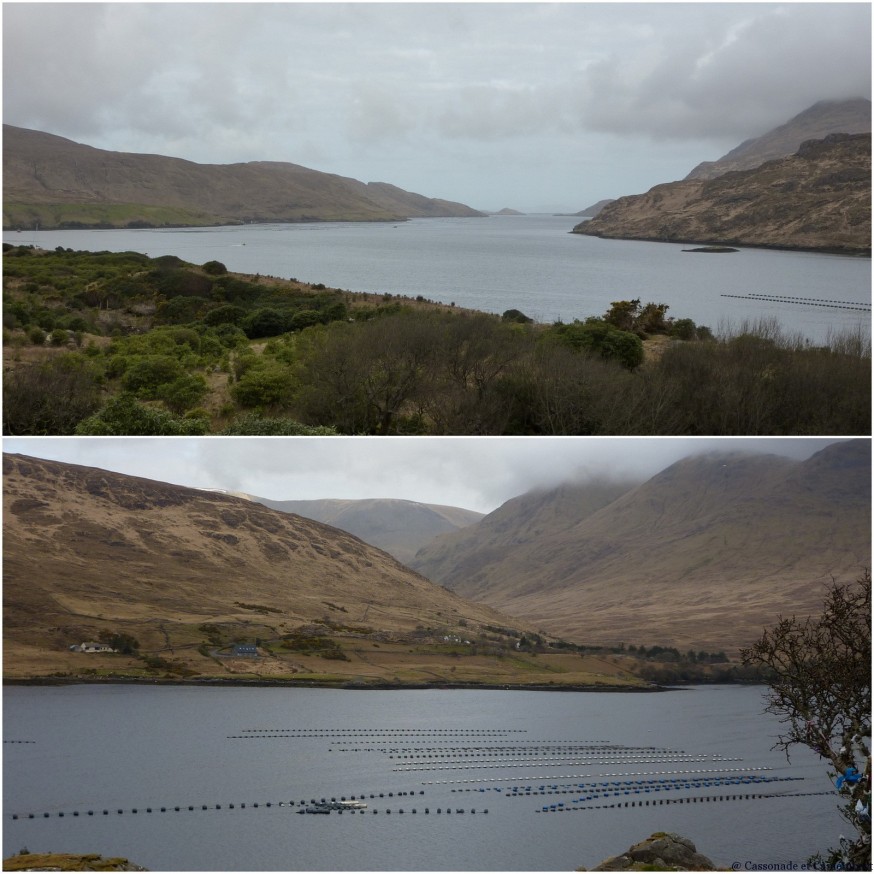 Fjord Killary Harbour