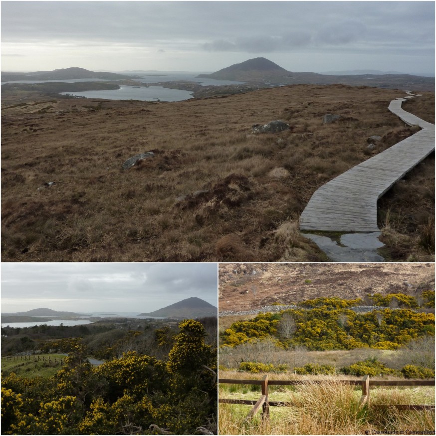 Parc national du Connemara