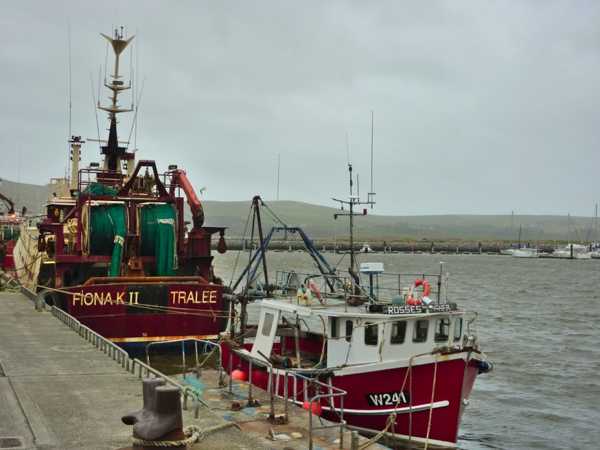 Port de Dingle 4 - dingle peninsula