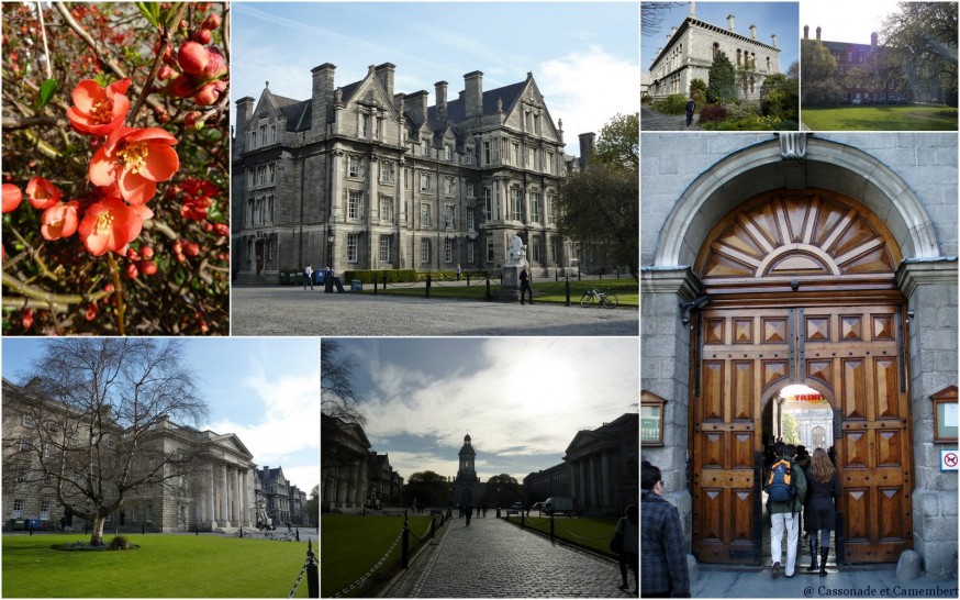 Trinity College Dublin