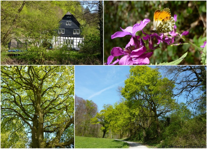 Vieux moulin Odenwald