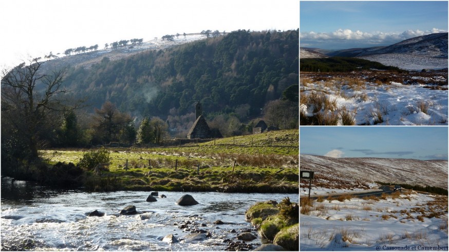 Wicklow Mountain