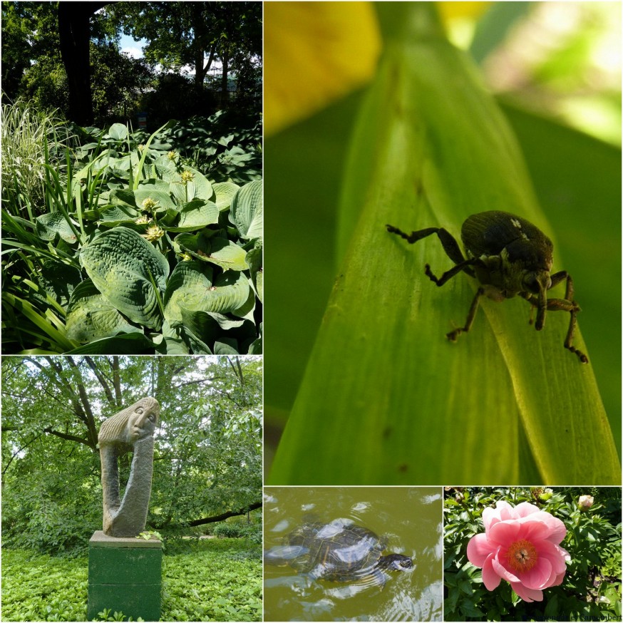 Parc Palmengarten