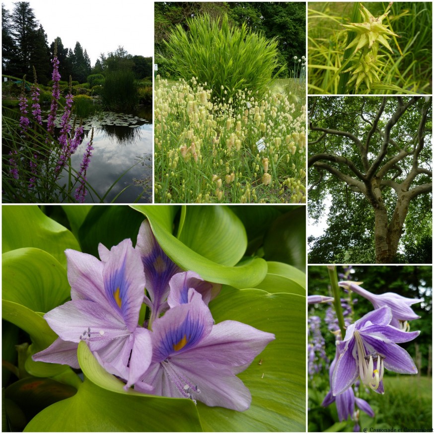 Jardin botanique Darmstadt