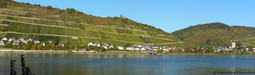 Rhin mainz bacharach