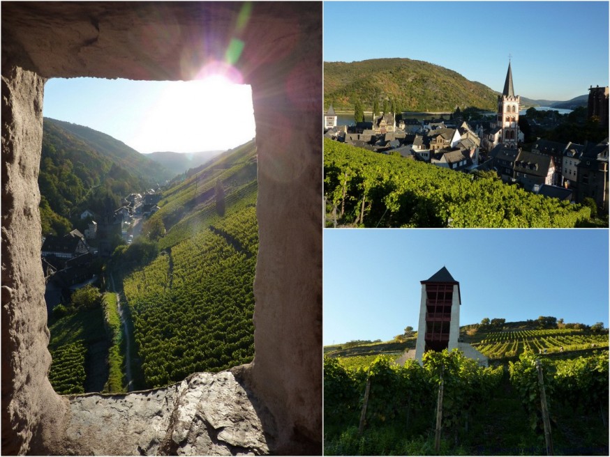 Vignoble Bacharach