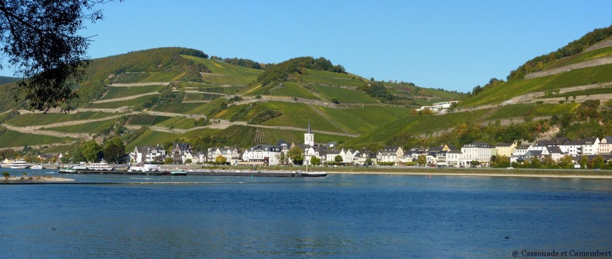 Vignobles bord du Rhin mainz bacharach