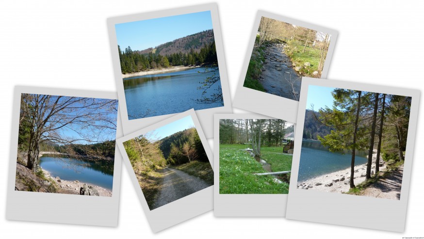 Lac des Corbeaux - La Bresse