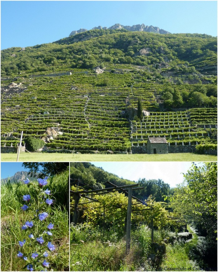 Campagne du val d aoste