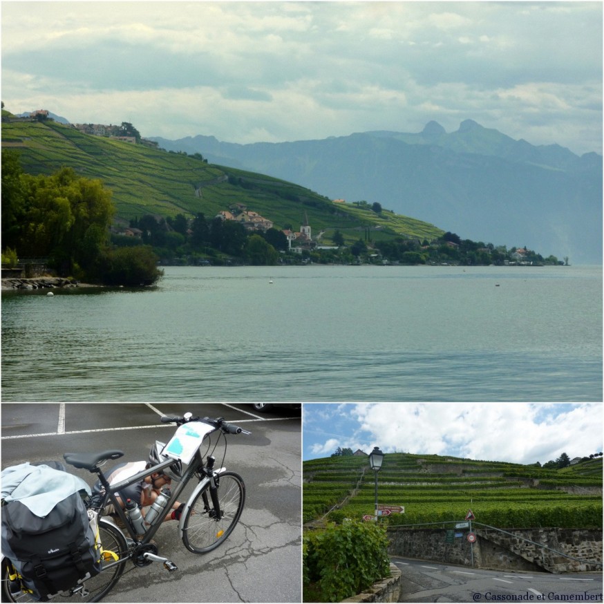 Vignoble de Lavaux