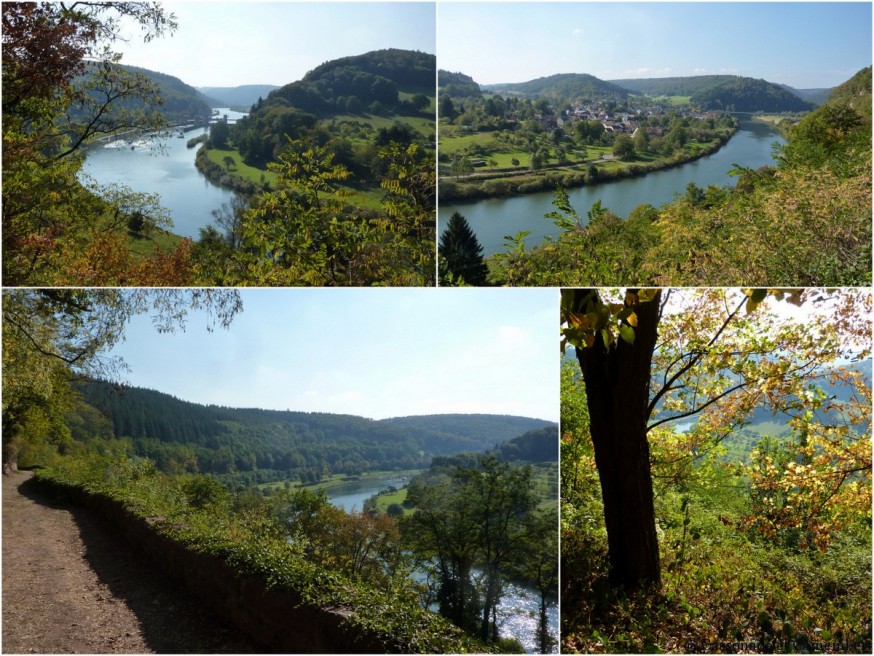 Neckargerach vue sur une boucle du Neckar