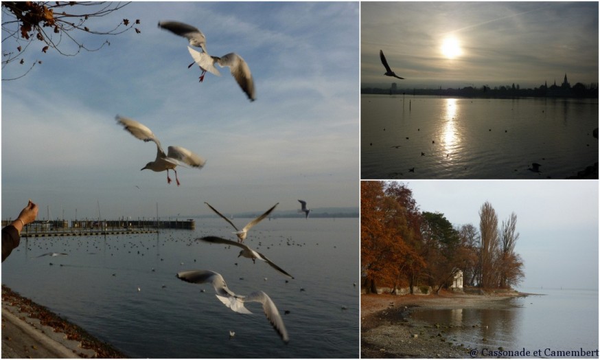 Bords du lac de Konstanz