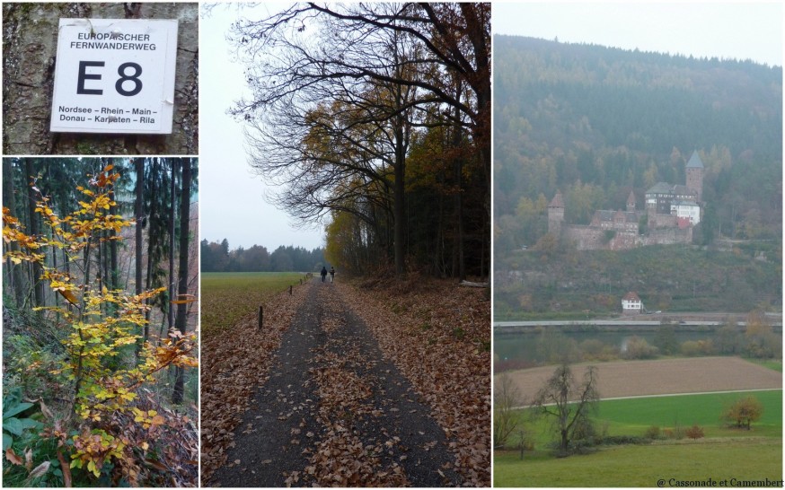 Chemin de randonnée E8