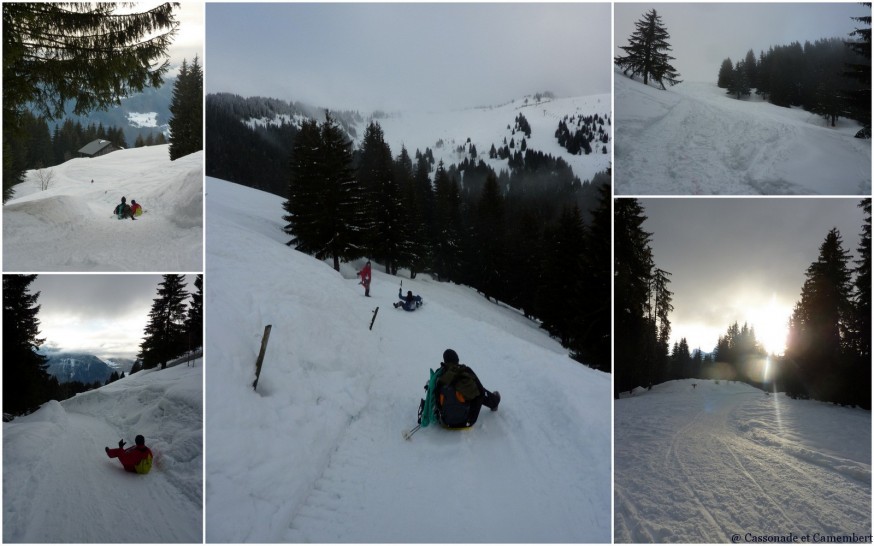 Descente en luge Descente en luge